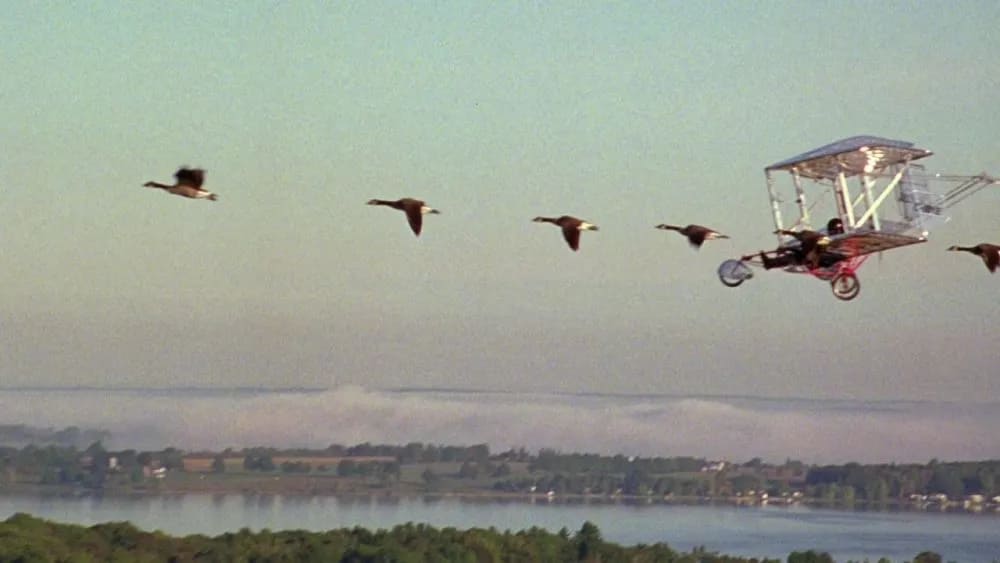 image-w1280 Carrol Ballard y la naturaleza | El Corcel Negro; Los Lobos no lloran; La Fuerza del Viento; Volando libre; y Duma