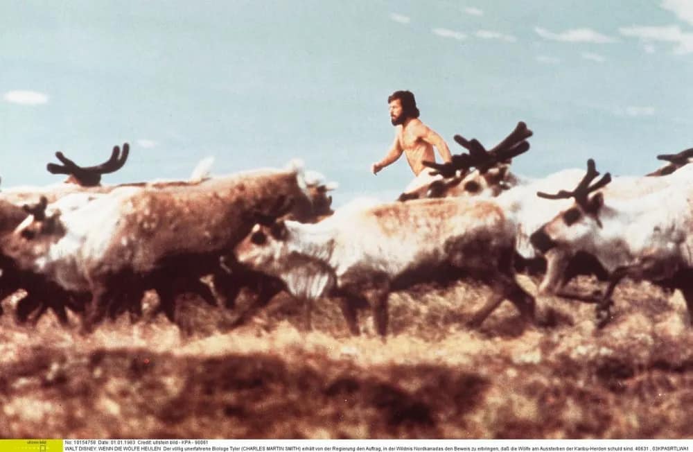 1161773 Carrol Ballard y la naturaleza | El Corcel Negro; Los Lobos no lloran; La Fuerza del Viento; Volando libre; y Duma