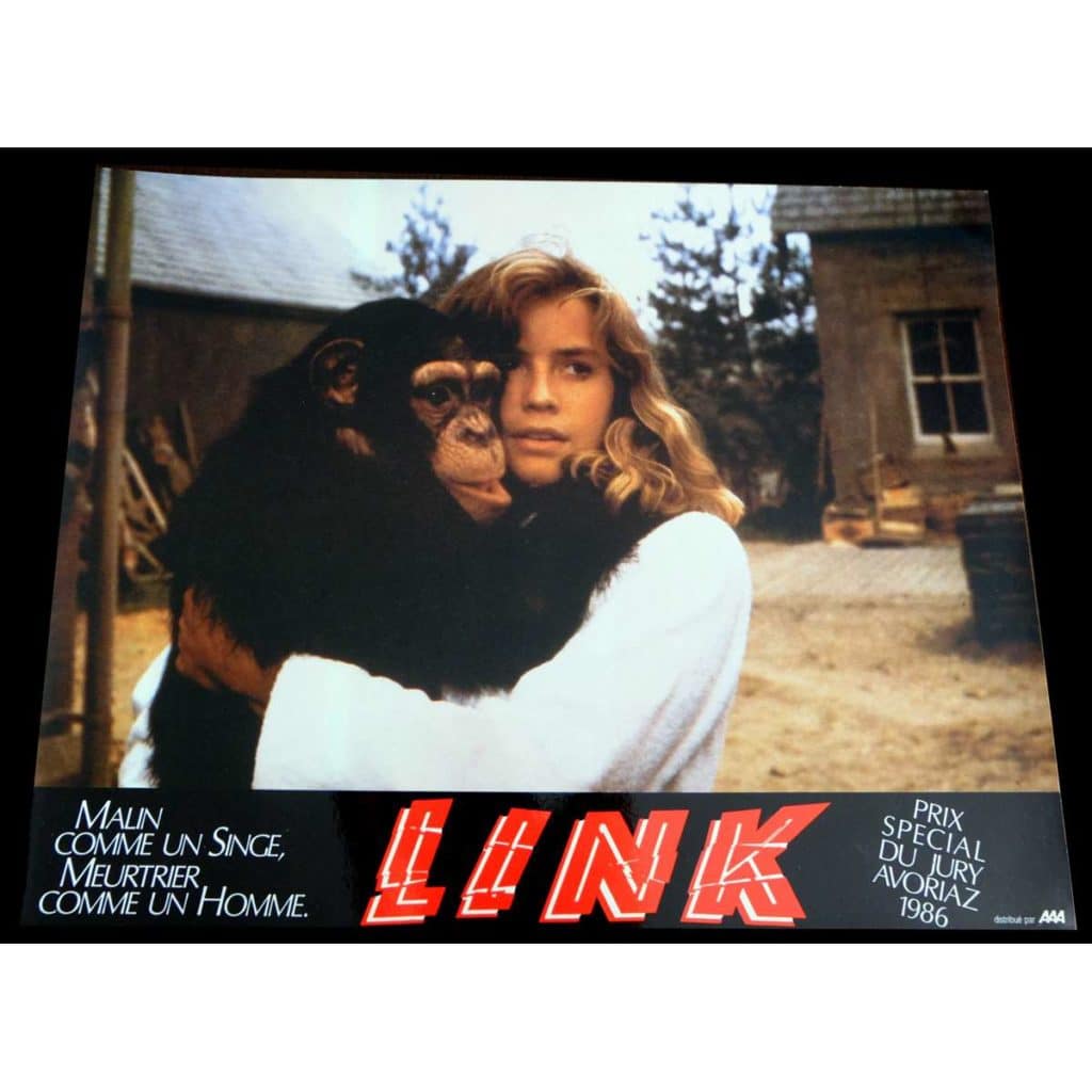 link-french-lobby-card-2-9x12-1986-richard-franklin-terence-stamp-1024x1024 Link (1986) – La película del provocador desnudo de Elizabeth Shue, gratis y sin restricciones