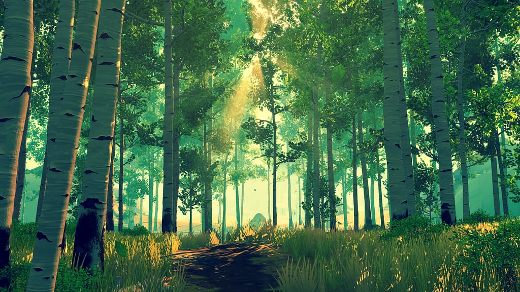 Los bosques más evocadores en el mundo del videojuego: cuando perderse es un acto de belleza 7 Los mejores bosques del videojuego