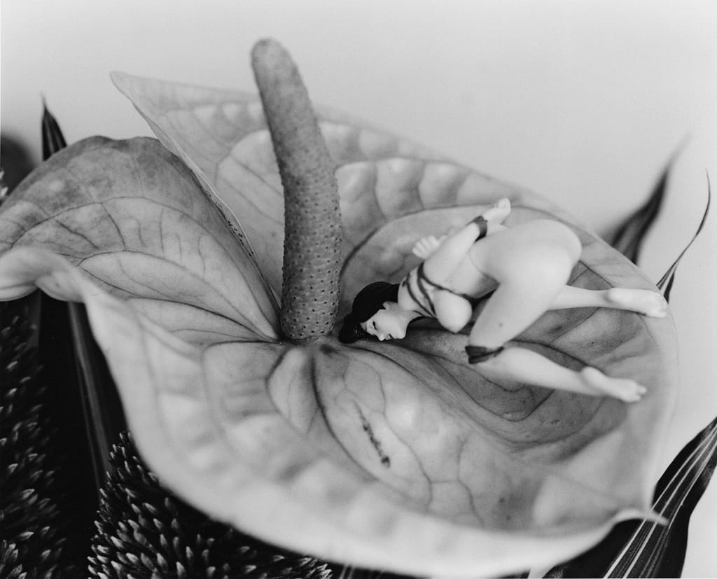 Las controvertidas fotografías eróticas de bondage con cuerdas de Nobuyoshi Araki (NSFW) Desnudo artístico