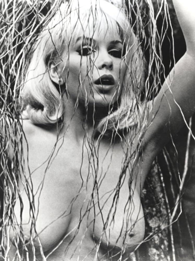 Stella Stevens al desnudo: el fulgor inolvidable de una estrella atemporal Actrices desnudas