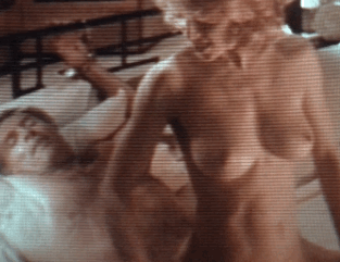 El cuerpo del delito: Madonna, desnudos, la piel del deseo y el juego del escándalo Actrices desnudas